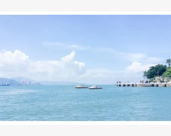 鸽子汤：中医科普之化痰止咳的天然良方